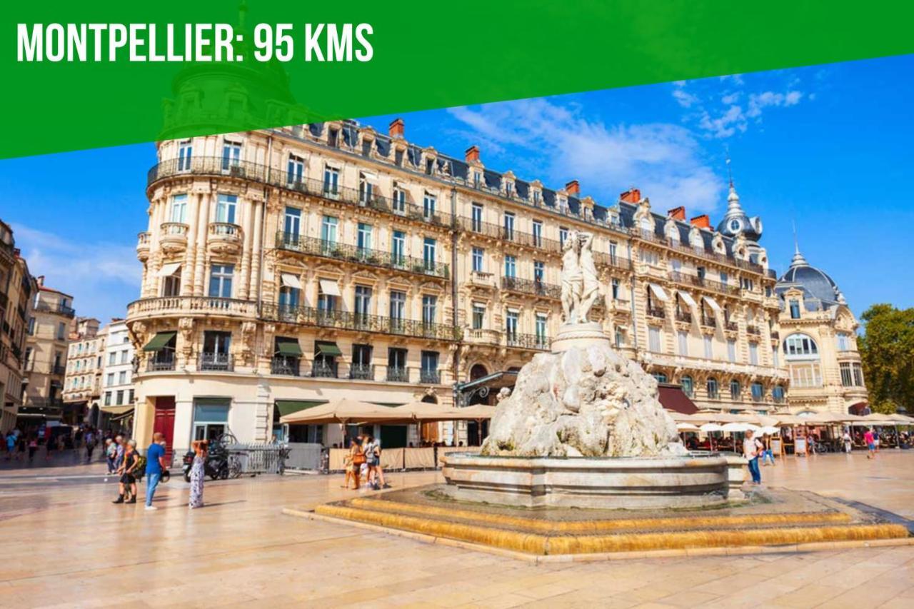 Апартаменти Au Coeur Des Platanes - Parking Gratuit Sous-Terrain - Clim - Balcon Авіньйон Екстер'єр фото